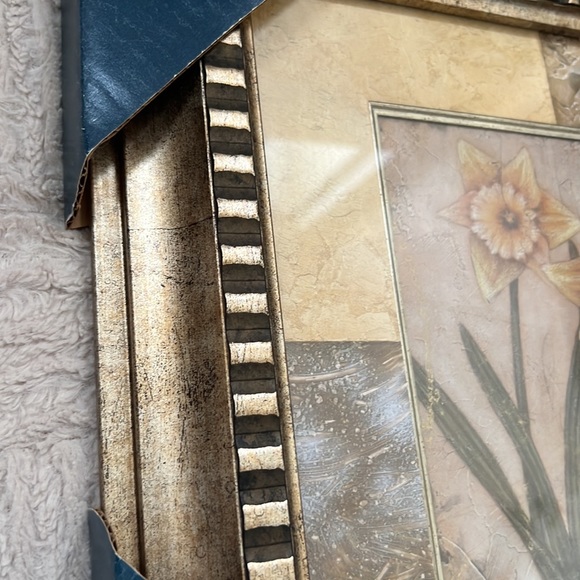 Daffodils wall art in glass frame, New in original packaging - Picture 5 of 16